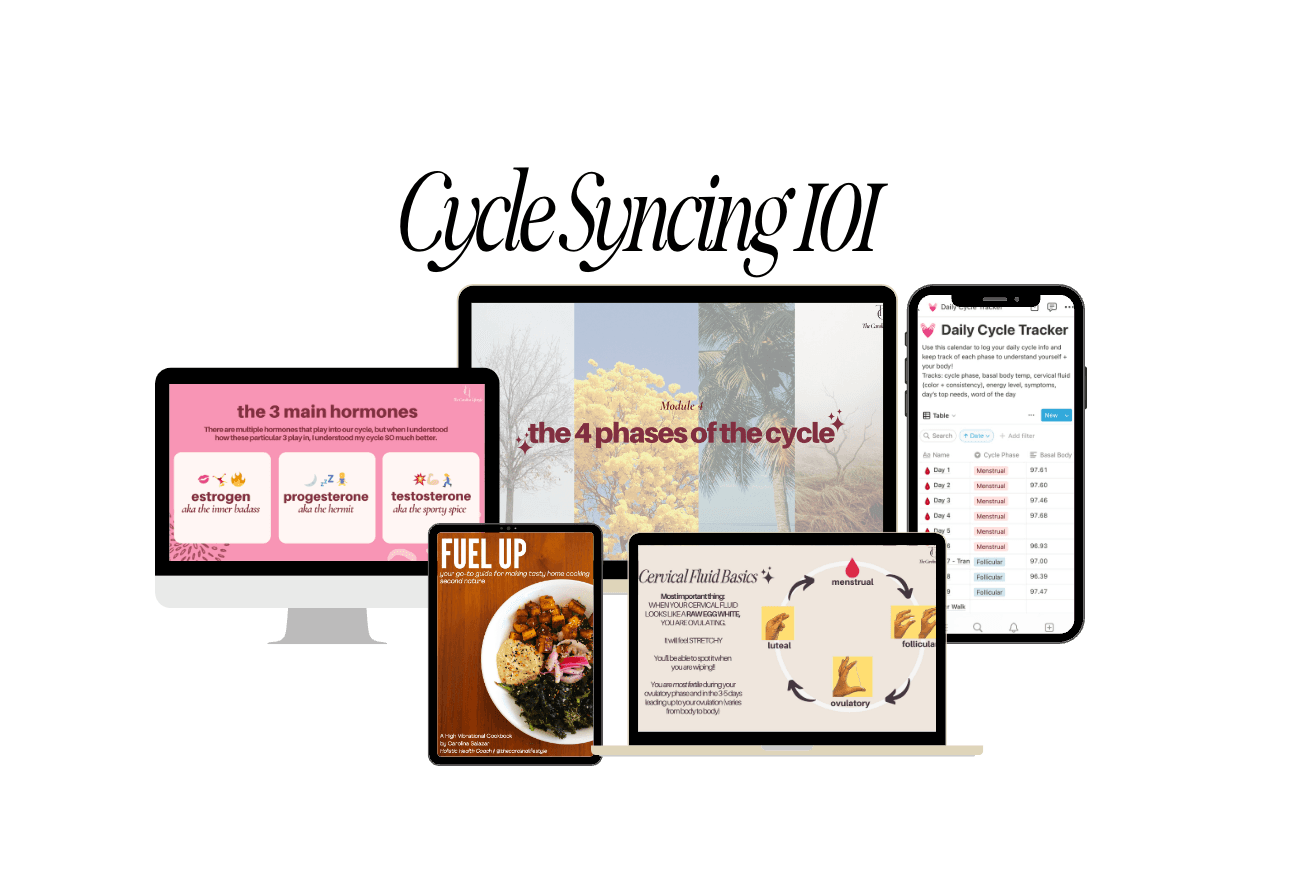 Cycle Syncing 101 Course