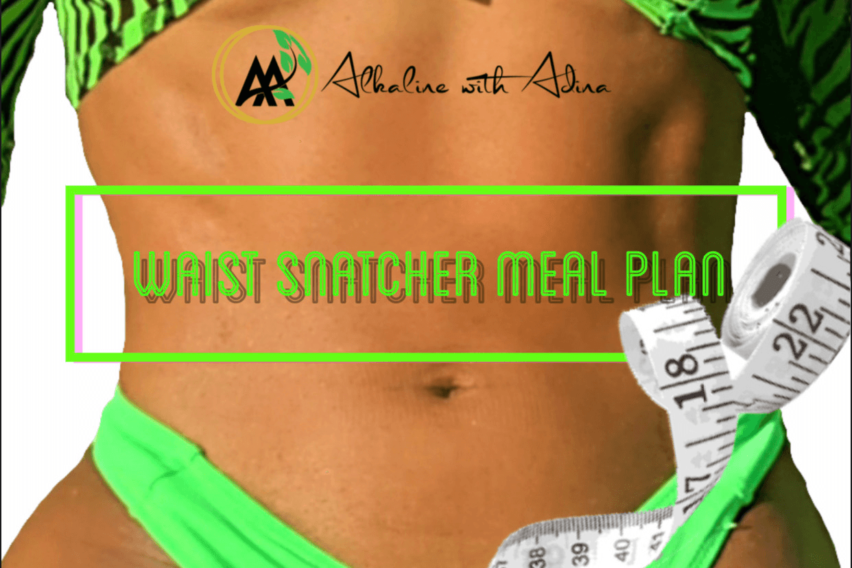 GET THE WAIST SNATCHER GUIDE NOW! 