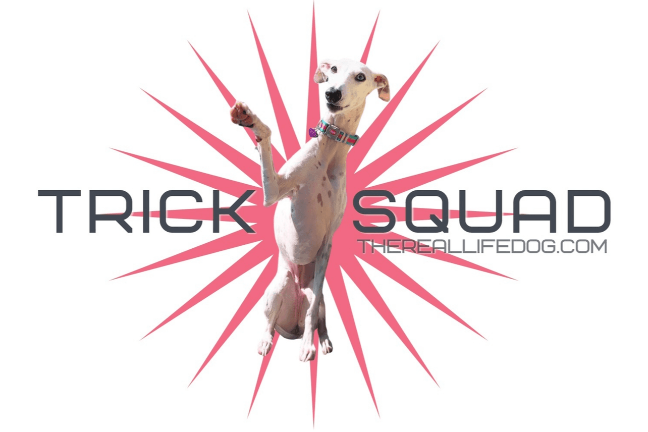 TRICK SQUAD Sun 11:30am Mtn