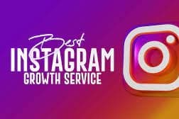 Organic Instagram Growth (Followers) 
