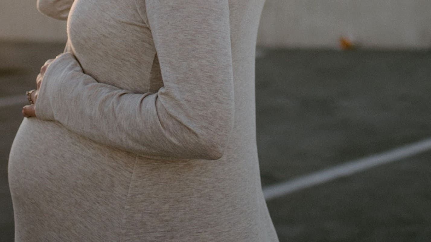 The OrganiMama's Guide to Pregnancy