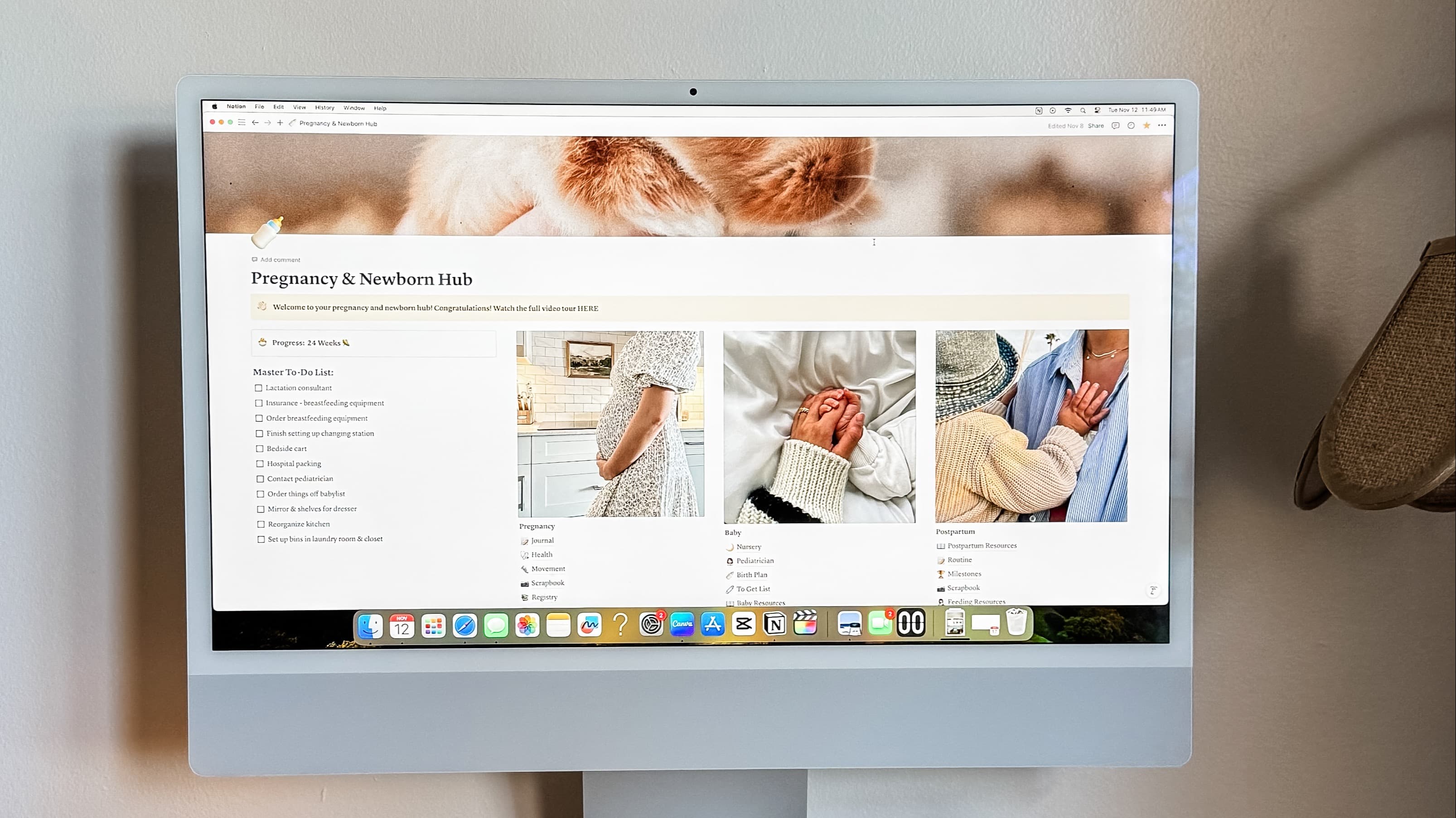 Pregnancy Newborn Notion Hub