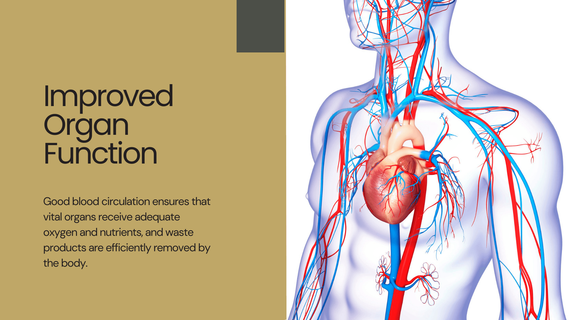 Get My Good Circulation eBook Now!