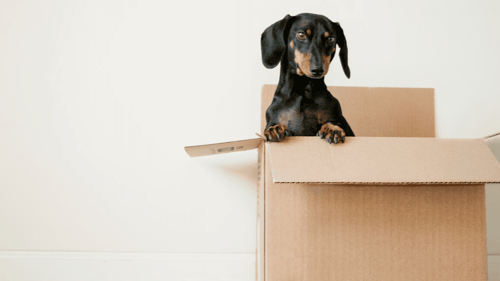 Get My First time home buyer checklist 