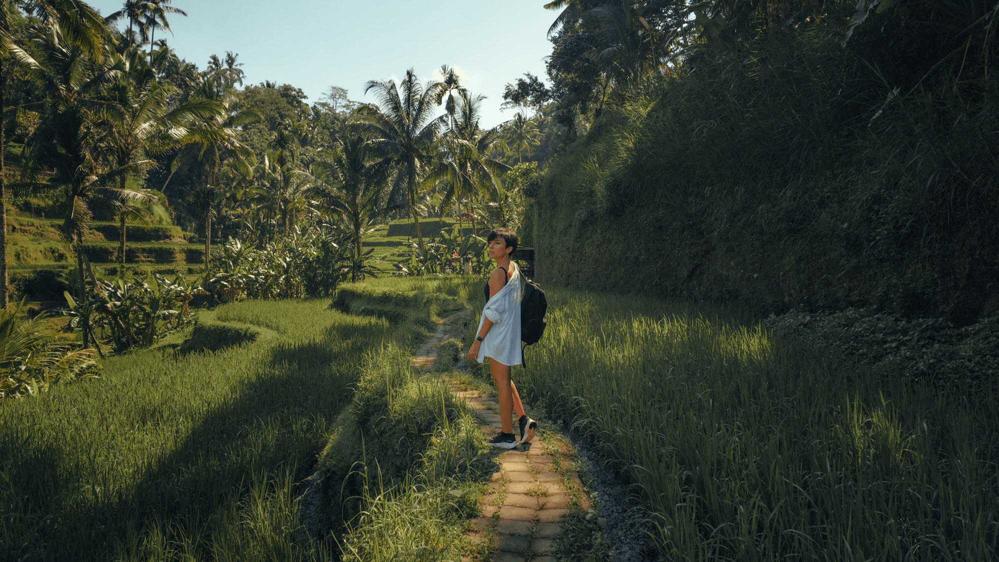 Get My DJI Osmo Pocket 3 & 4 LUT