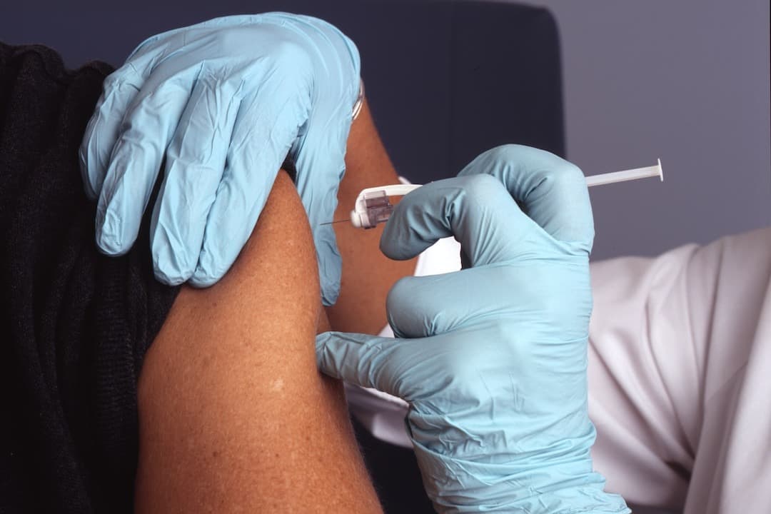 Vaccine Rabit Hole Pdf 