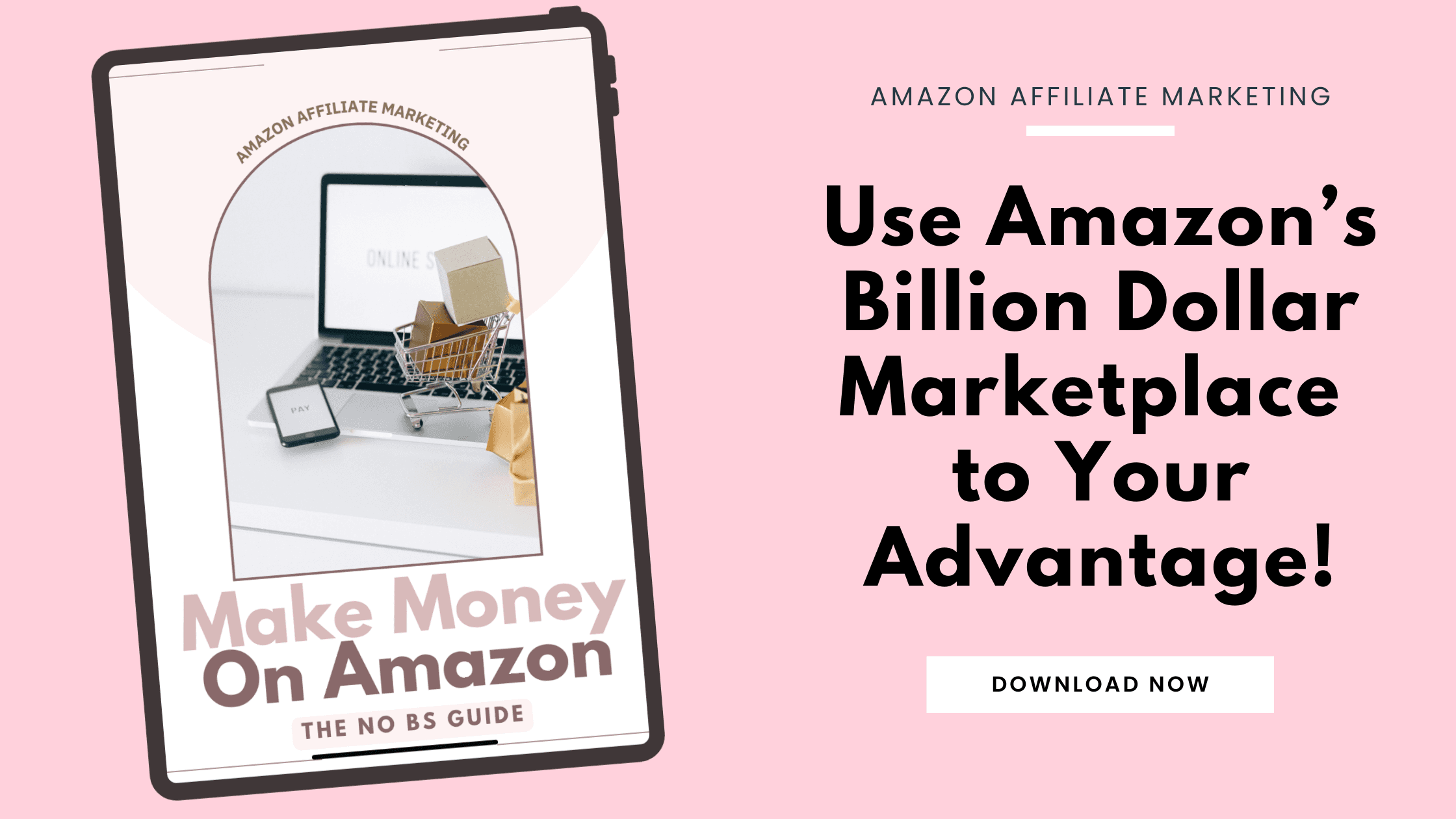 DFY How To Make Money With Amazon Affiliate