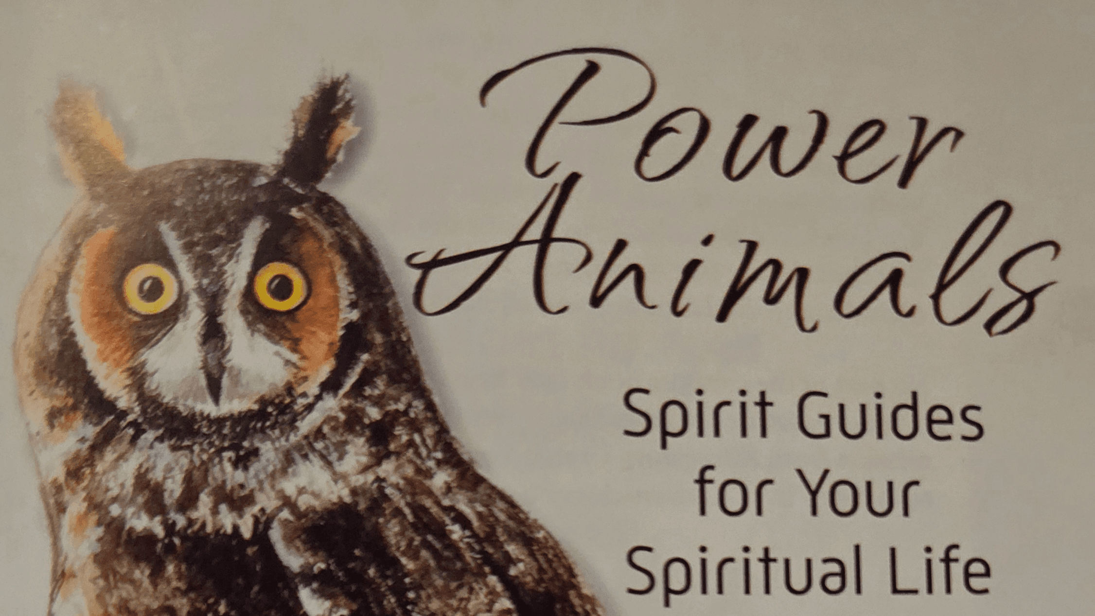 Animal Spirit Guide