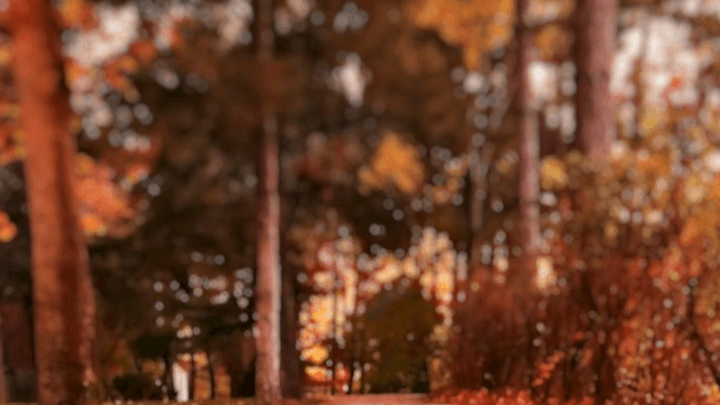 Grab your local Fall Guide Now