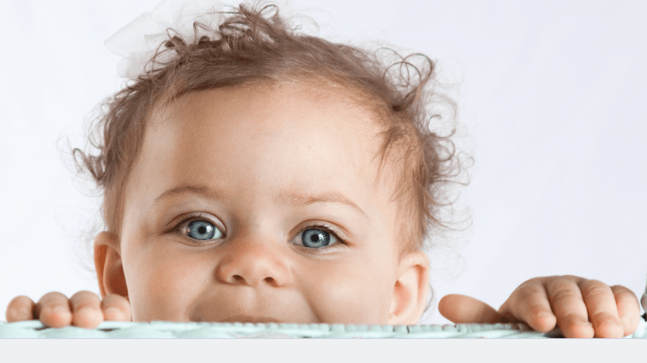 The Toddler Toolkit