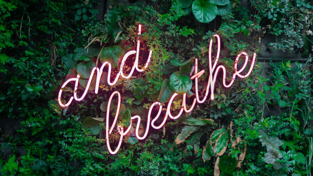  Manifesting  & Guided Meditation Session