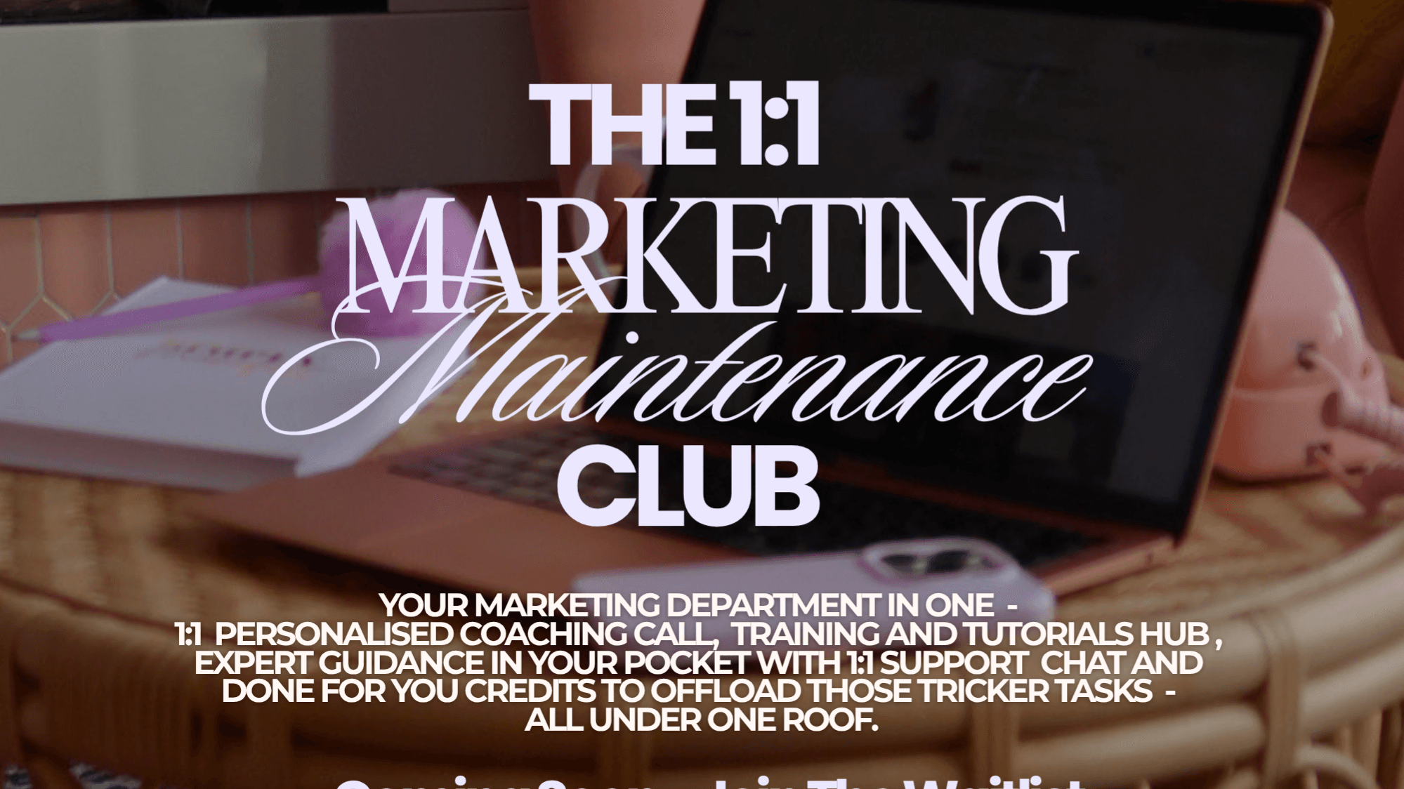 The 1:1 Marketing Maintenance Club NEW COMING SOON