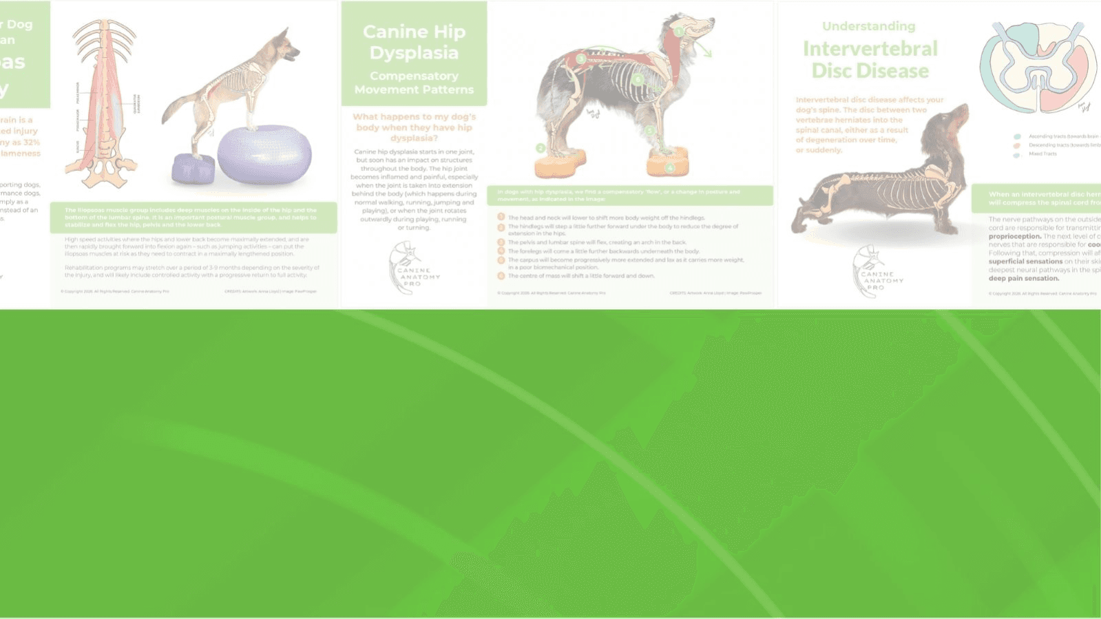 Clinical Condition Posters (7)