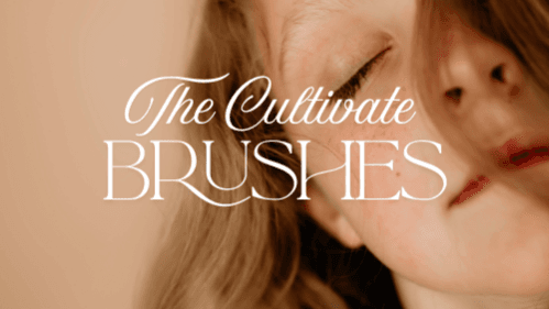The Cultivate LR Brushes