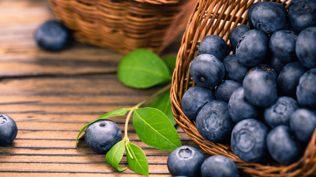 Garden Favorites & Canning Digital Recipe Book