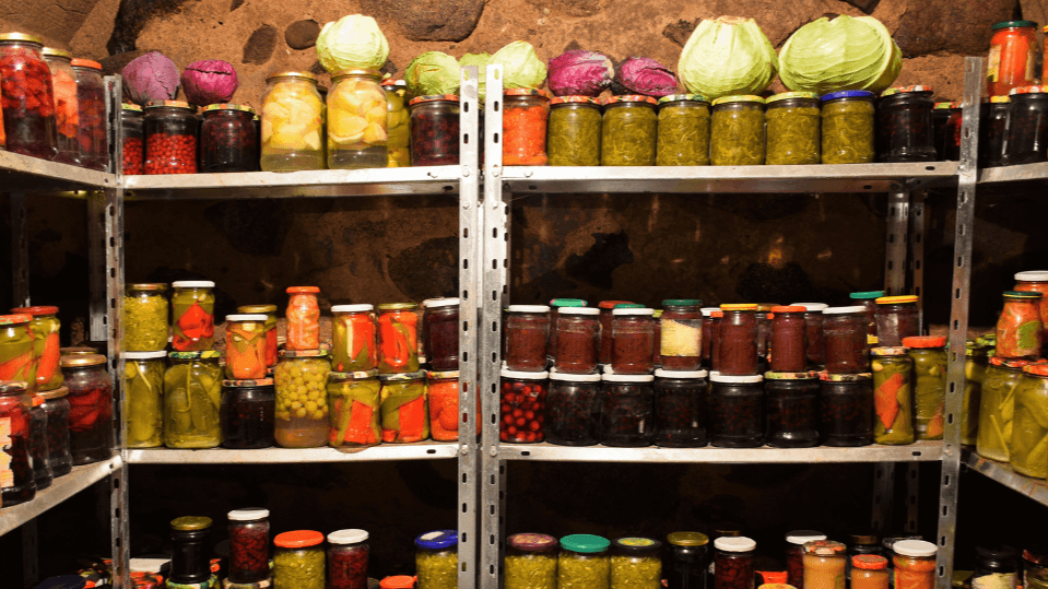 The Self Sufficiency Blueprint