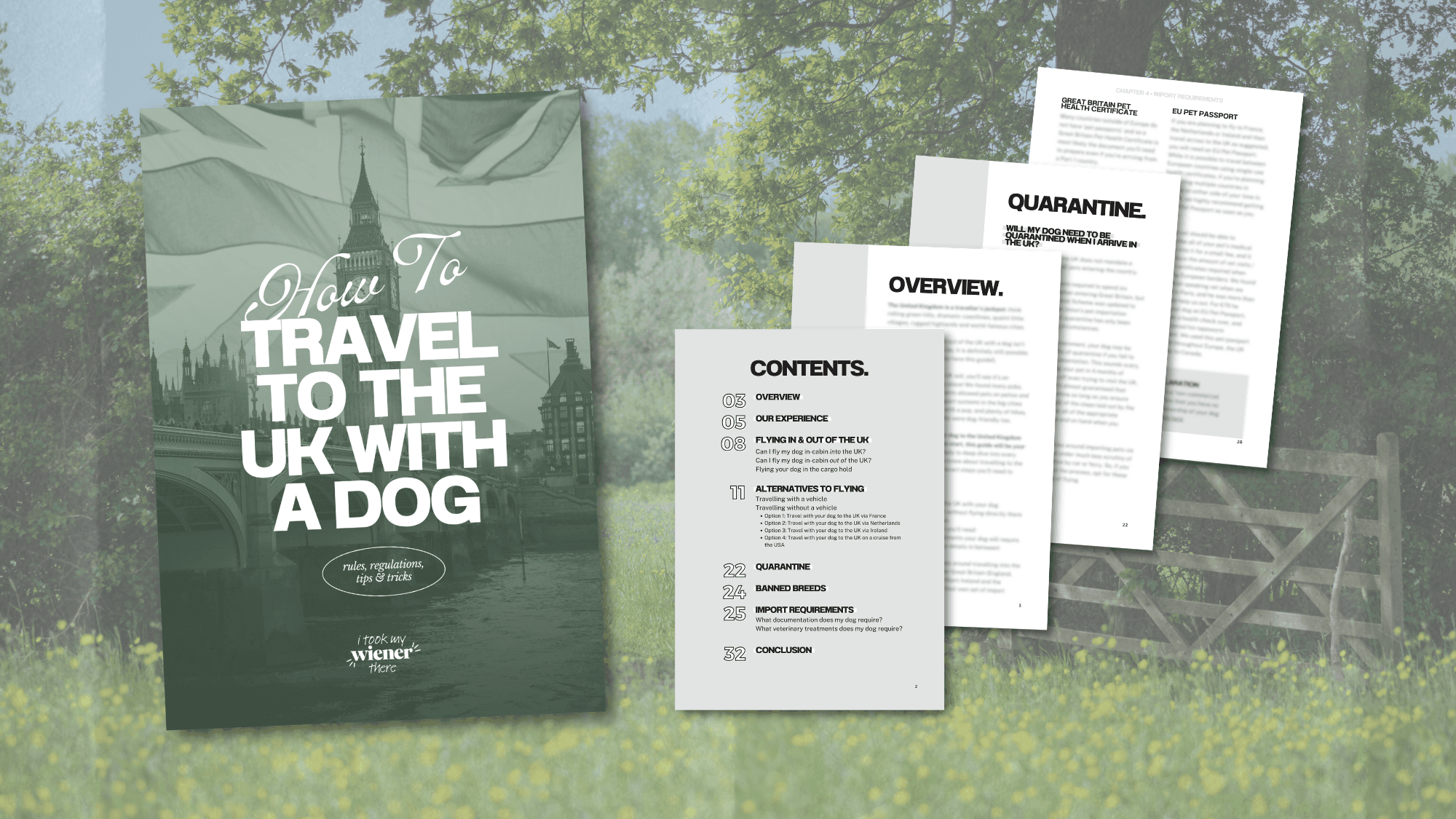 How To Travel To The UK With A Dog