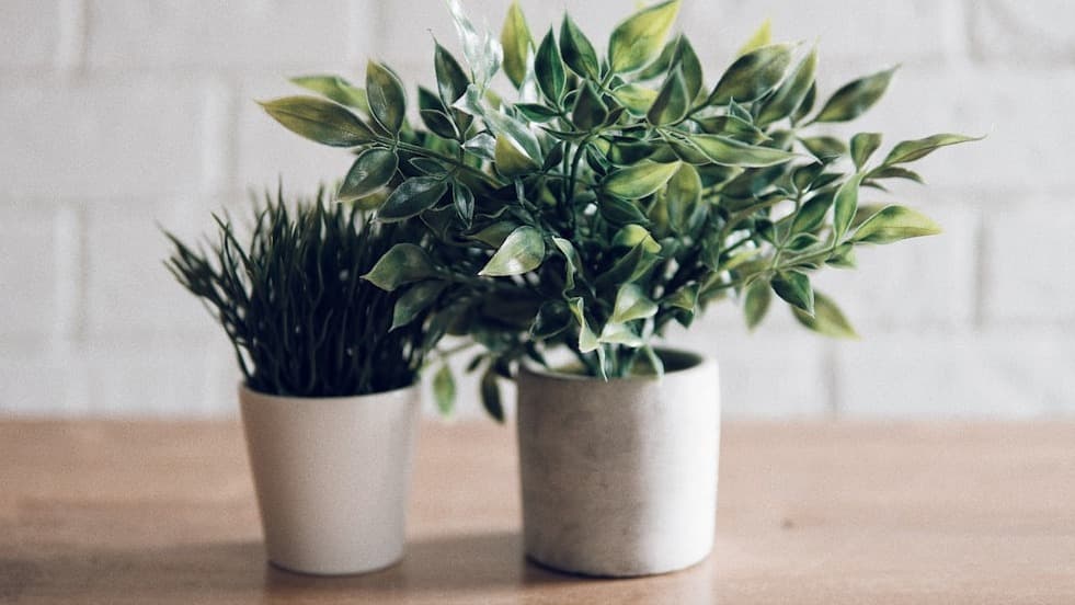 Create Your Own DIY Self Watering Garden Planters.