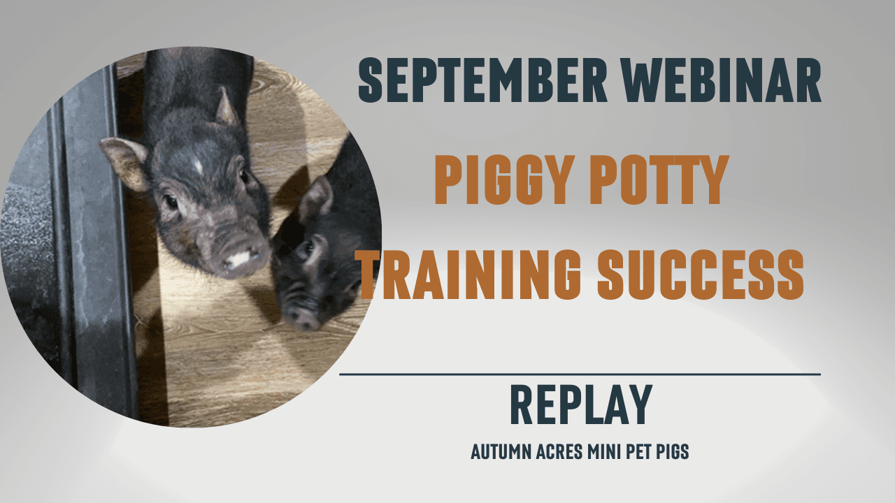 September - Potty Training Success Webinar REPLAY