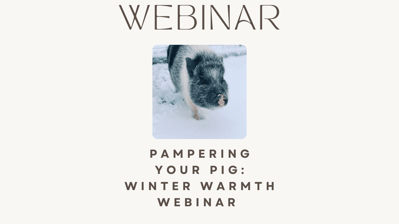 Winter Weather Warmth Webinar REPLAY