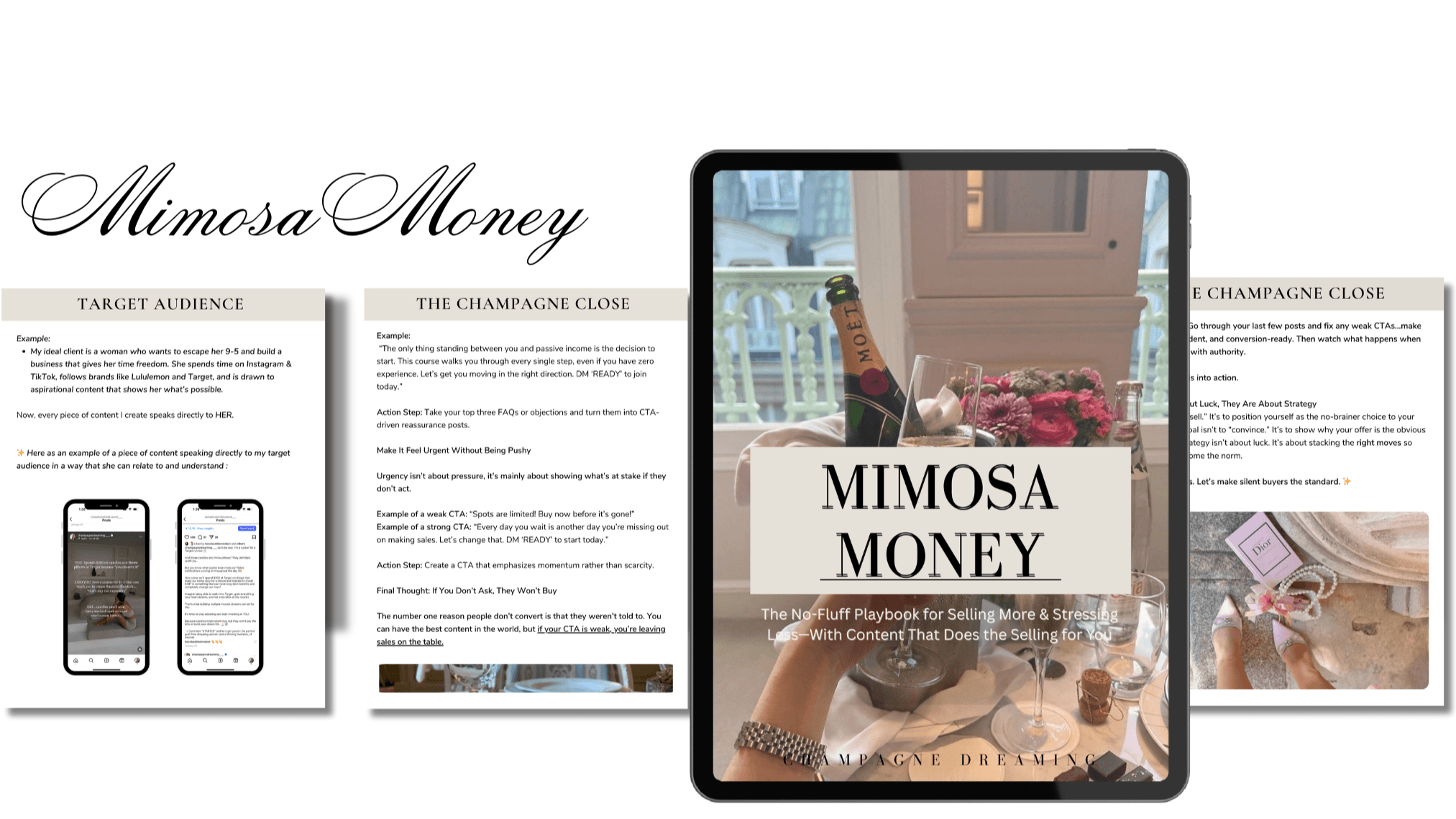 Mimosa Money Sales Blueprint