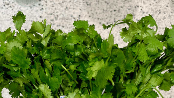 The Cilantro Crema