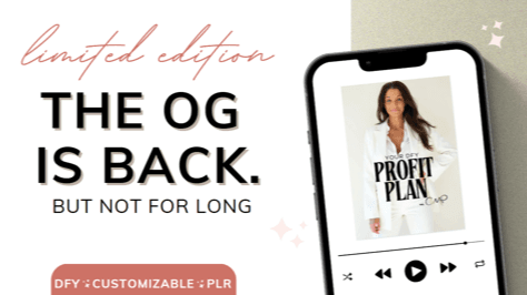 Limited Edition: YOUR DFY PROFIT PLAN