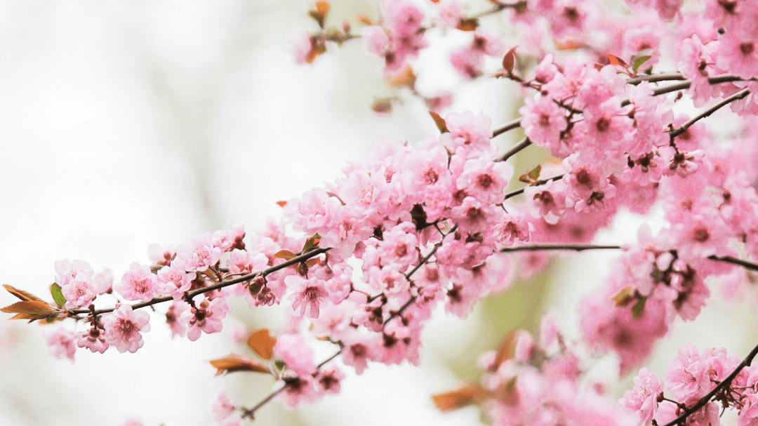 Affirmations for Vision Loss: Rebuild Your Confide