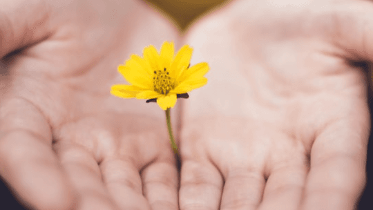 The Deep Healing Blueprint