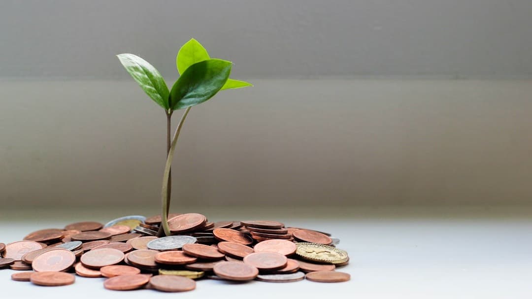 Manifest Any Amount of Money—Starting Today! 💰