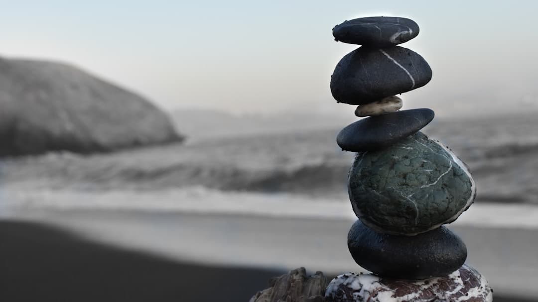 FREE - Zen Belly: say goodbye to bloat