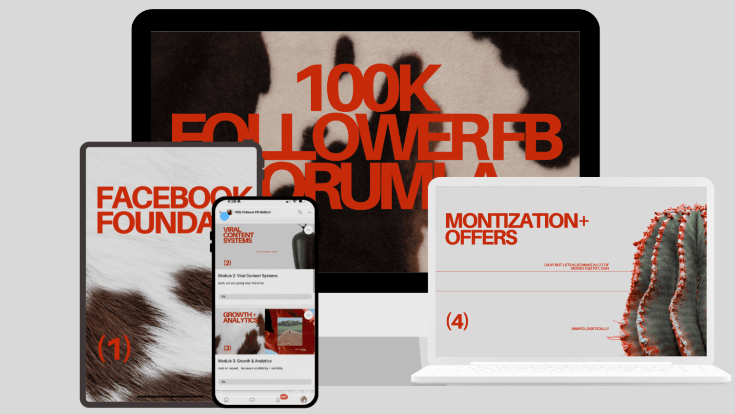 100k FB Follower Formula