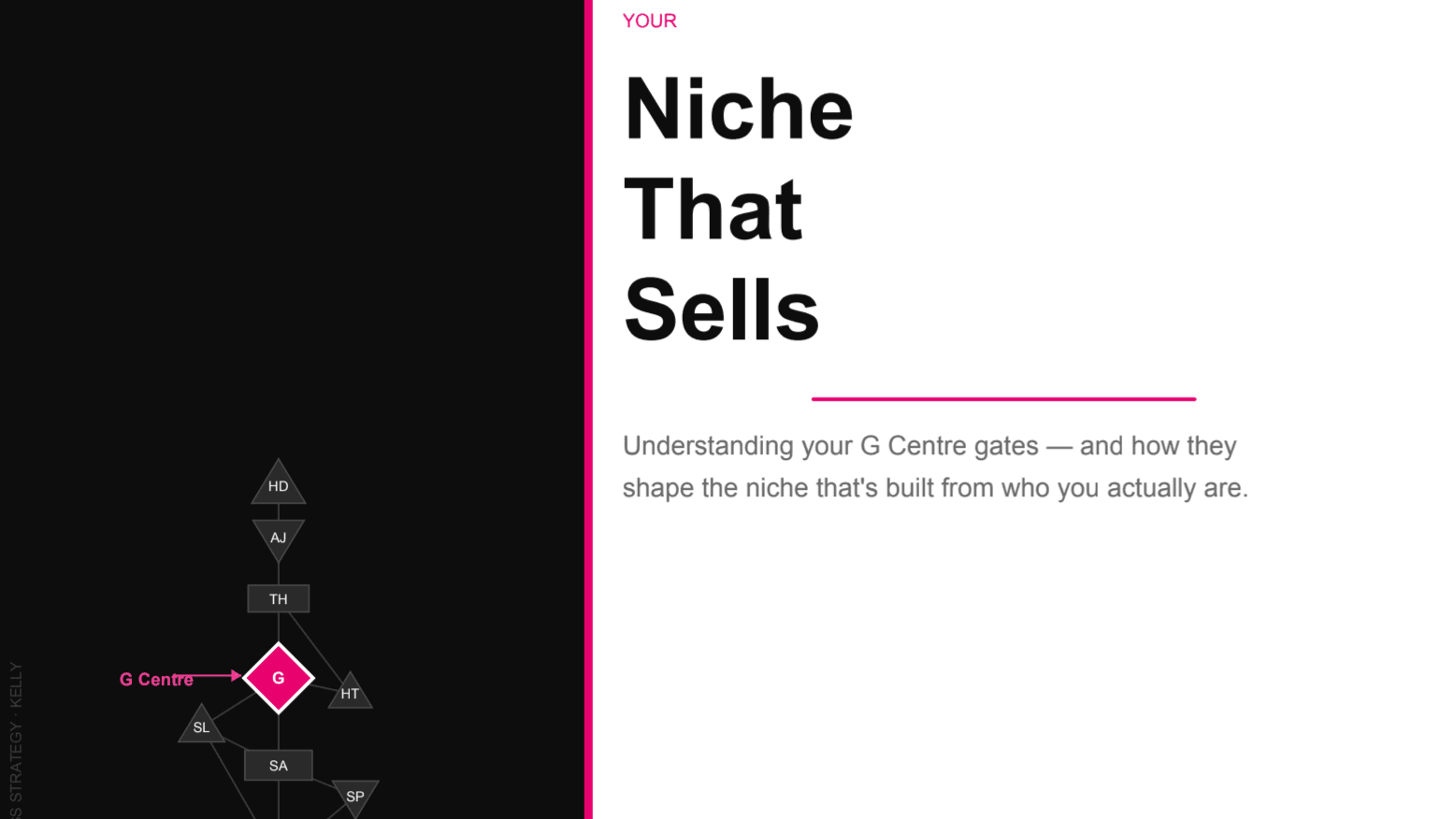 What's my niche? (free pdf)