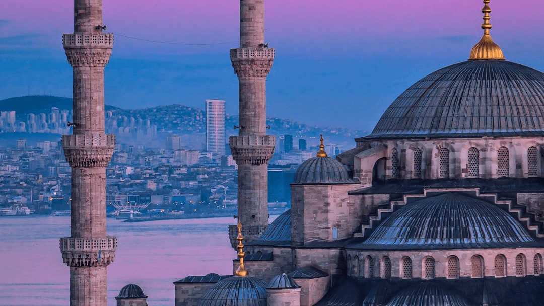 FREE: 15 Questions Before Turkey Surgery