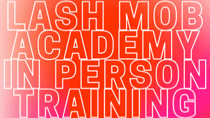 Online Lash Training
