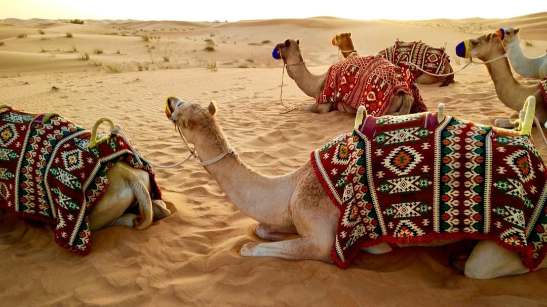Get My Dubai Travel Guide Now!