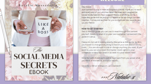 Unlock Social Media Success: 100+ Page PLR eBook