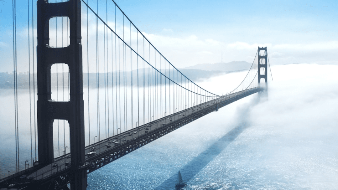 🌉 THE BRIDGE MEMBERSHIP PLUS+