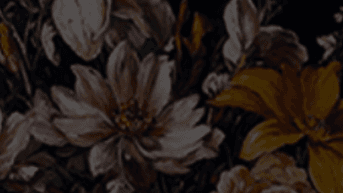 Module 1: The Early Days After Stillbirth