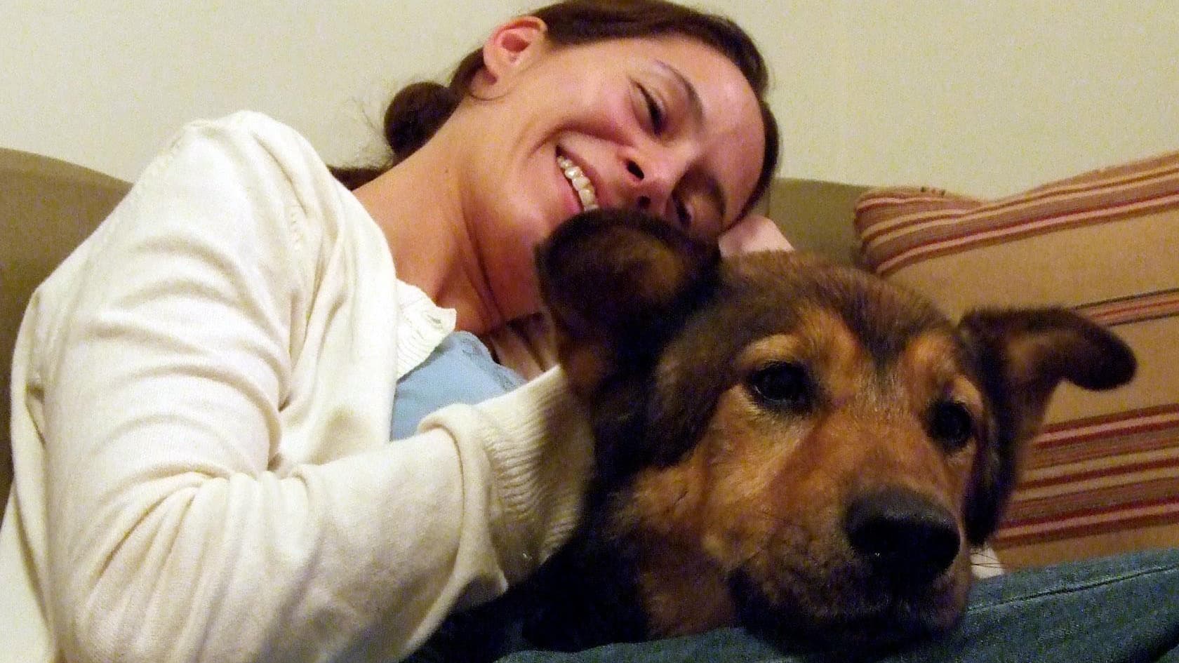 Worried About Your Senior Dog’s Health or Comfort?