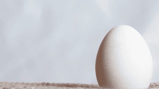 egg cleanse reading