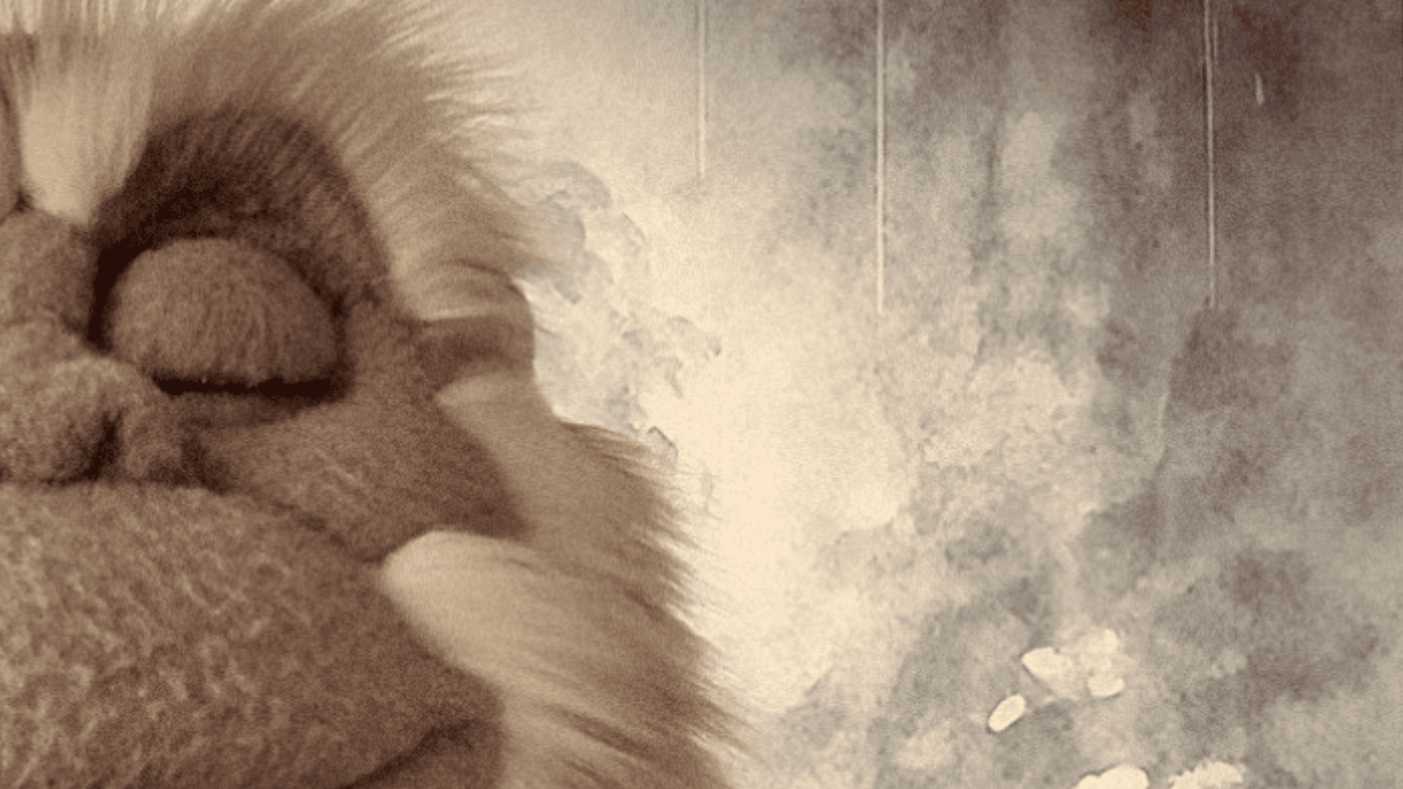 Meditations for the Journey of Grief.