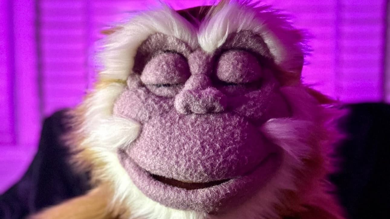 Jomo Live! (via Zoom) in your own home or school