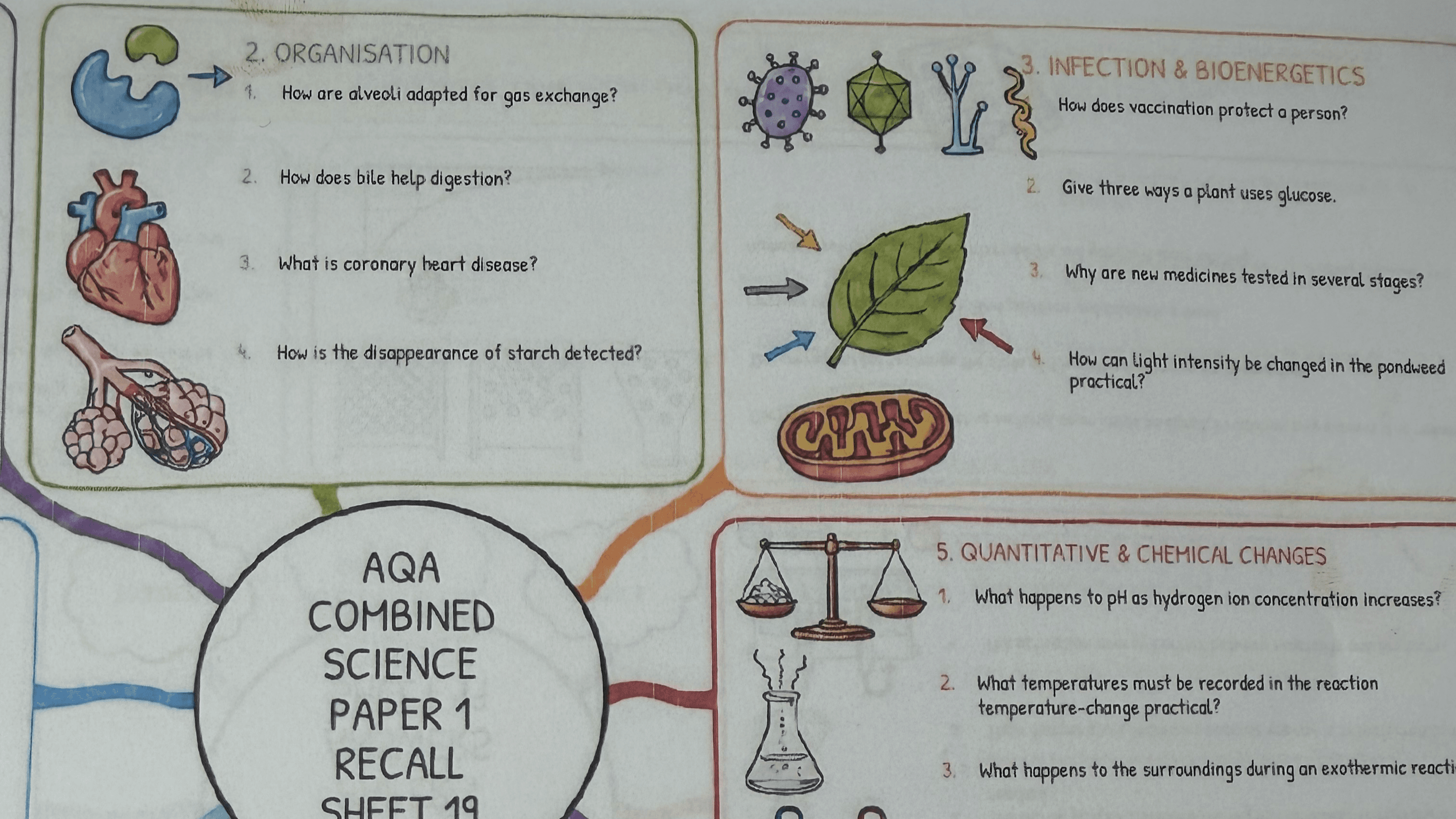 GCSE science quiz sheets-Paper 1