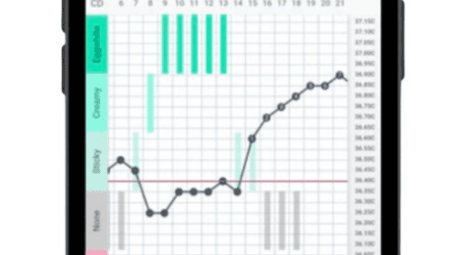 What Your BBT Chart Can Tell You Before...