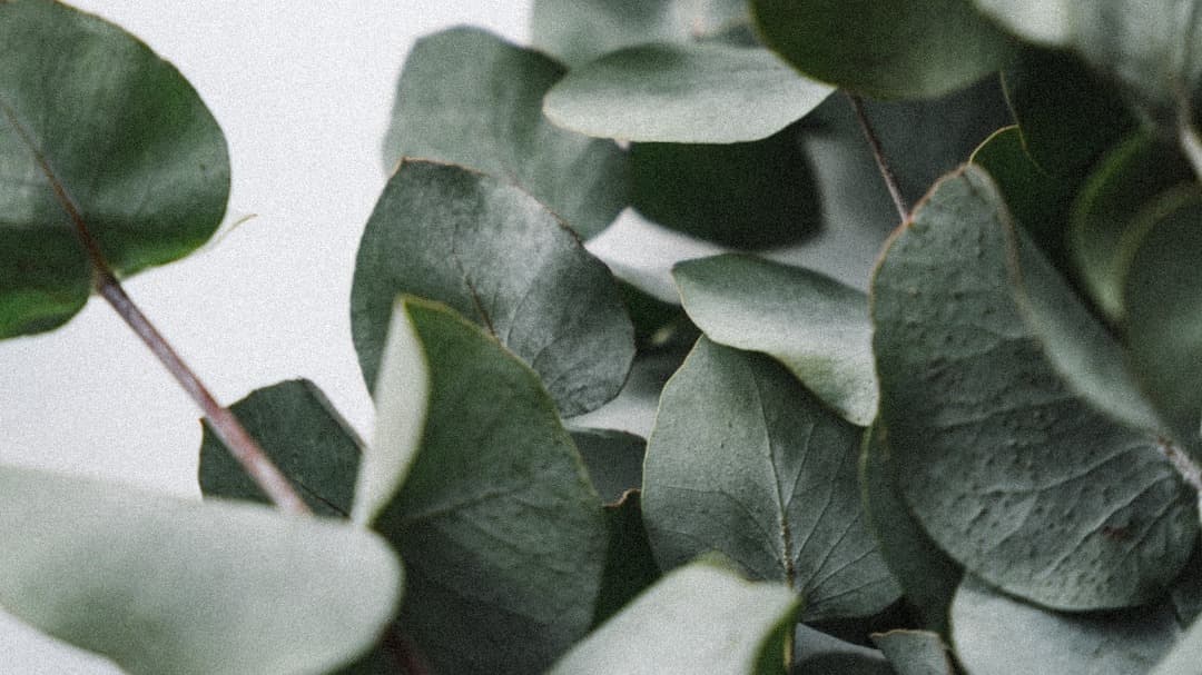 Lean Into Your Feminine Follow Up