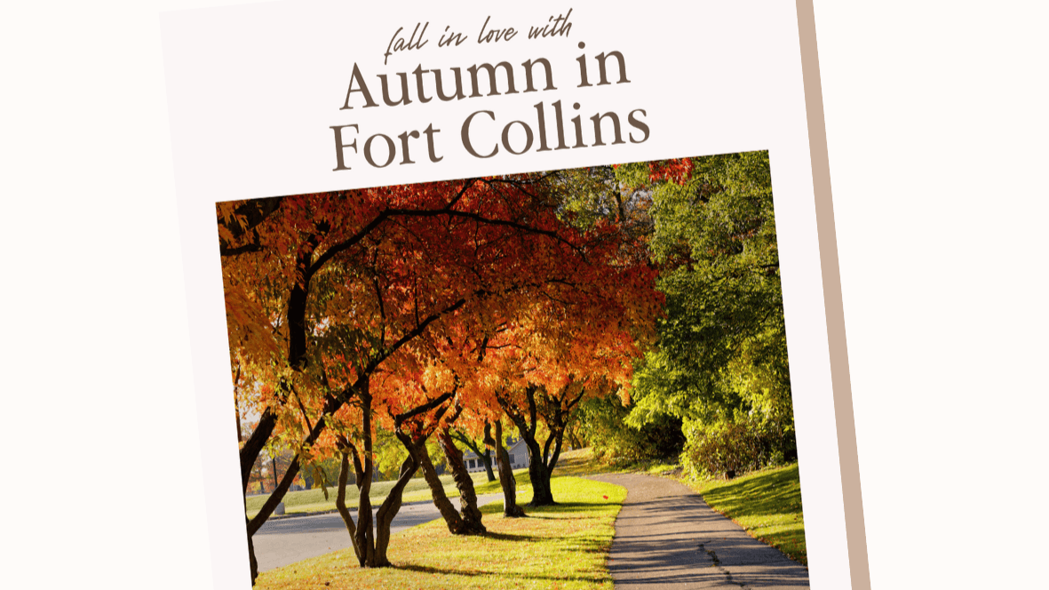 🍂 Rebekah's Fort Collins Fall Guide 🍂 