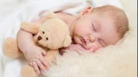 Toddler (18-24 months) Sleep Support 