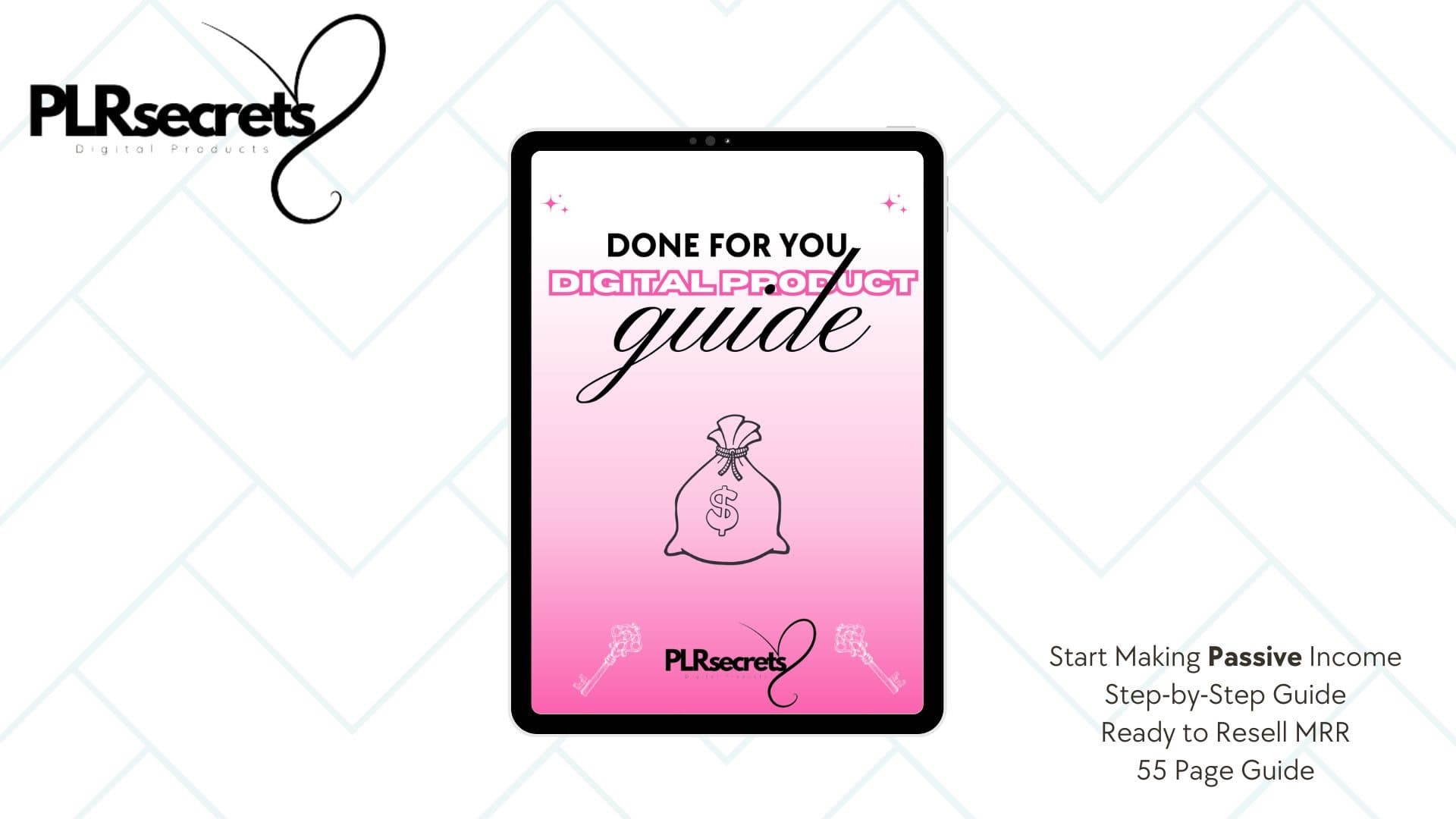 DFY Digital Product Guide [With Resell Rights]