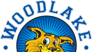 FishBowl Youth - Woodlake Elementary FREE Class